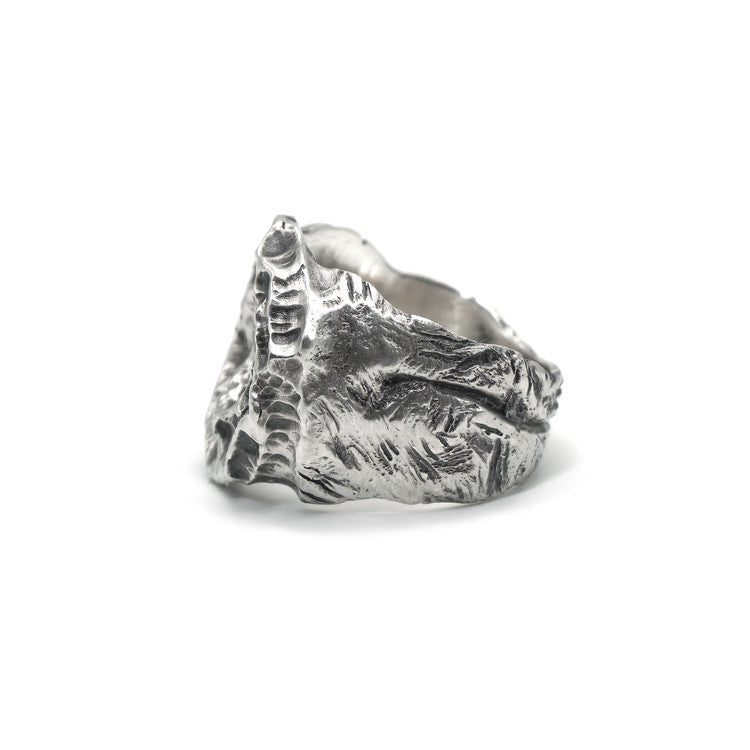 STONE CAMELILIA