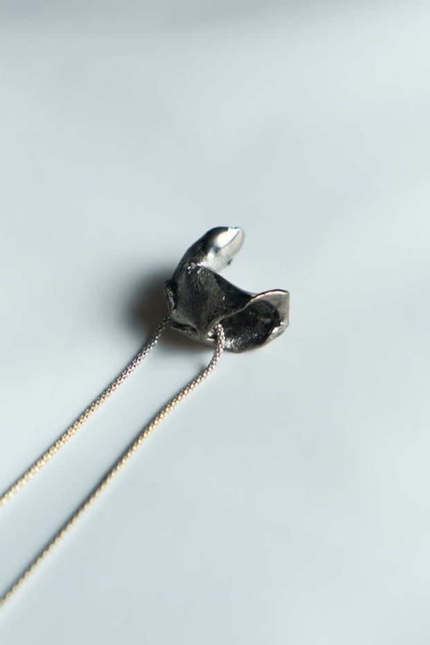 KIWA 003