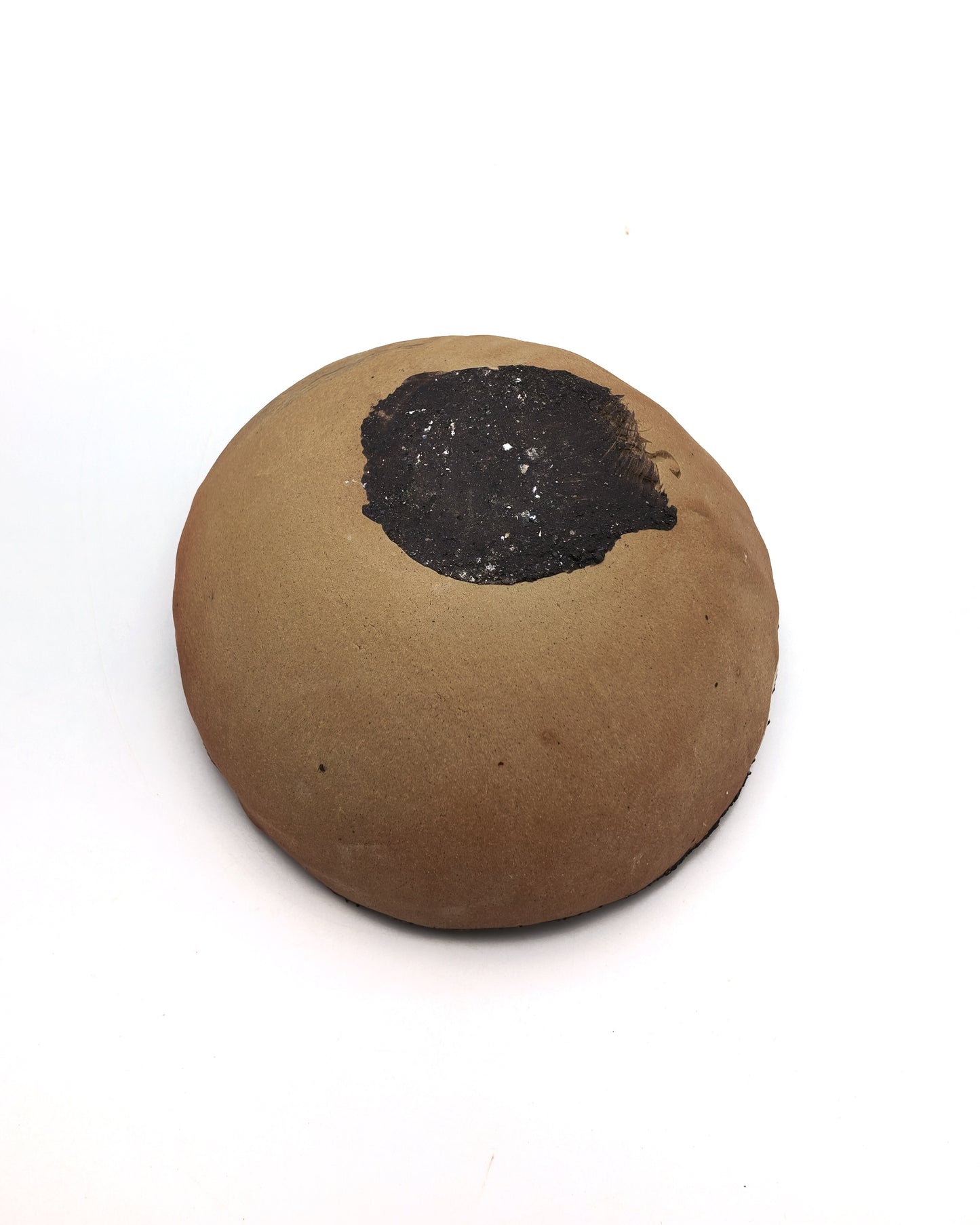 Lava Shell bowl(R) [LS-2616]
